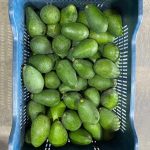 Avokado (160- 200 gr) - Görsel 3