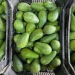 Avokado (160- 200 gr) - Görsel 4
